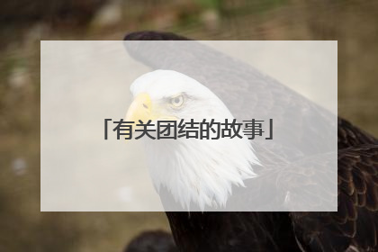 有关团结的故事