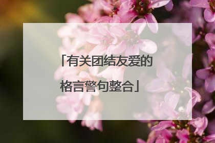 有关团结友爱的格言警句整合