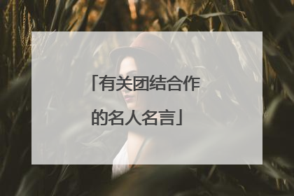有关团结合作的名人名言