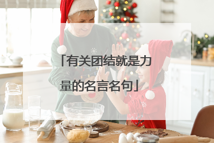 有关团结就是力量的名言名句