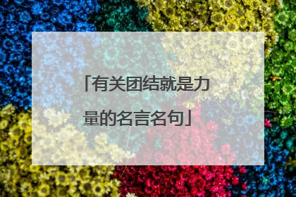 有关团结就是力量的名言名句