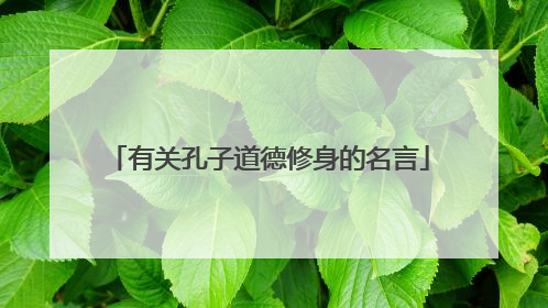 有关孔子道德修身的名言