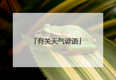 有关天气谚语