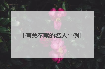 有关奉献的名人事例
