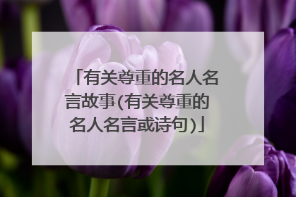 有关尊重的名人名言故事(有关尊重的名人名言或诗句)