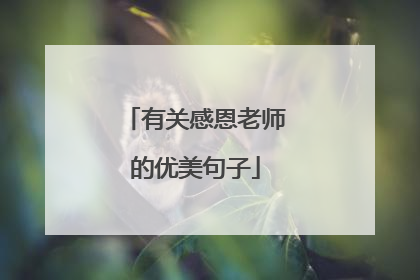 有关感恩老师的优美句子