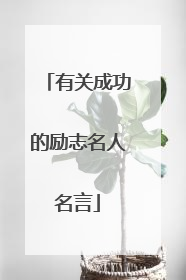 有关成功的励志名人名言