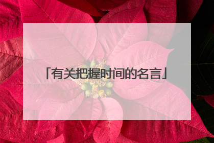 有关把握时间的名言