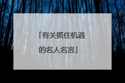 有关抓住机遇的名人名言