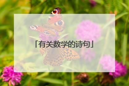 有关数学的诗句