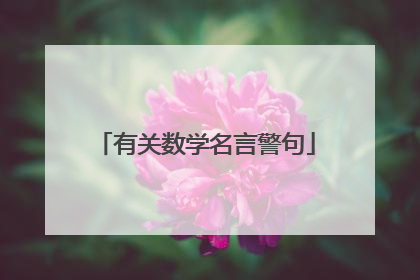 有关数学名言警句