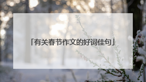 有关春节作文的好词佳句