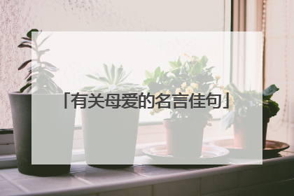 有关母爱的名言佳句