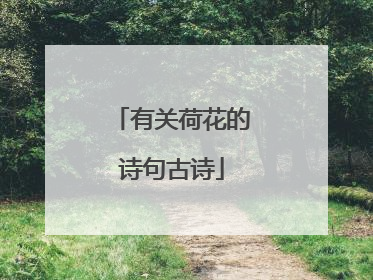 有关荷花的诗句古诗