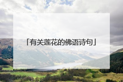 有关莲花的佛语诗句