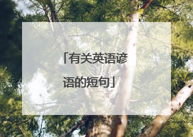 有关英语谚语的短句