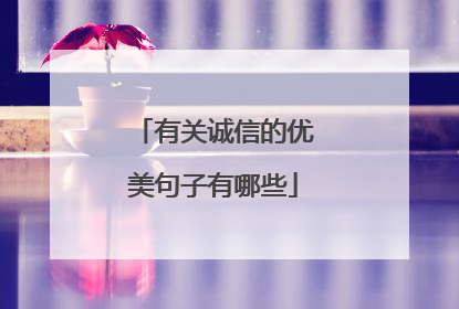有关诚信的优美句子有哪些