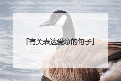 有关表达爱意的句子