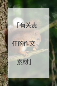有关责任的作文素材