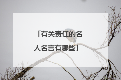 有关责任的名人名言有哪些