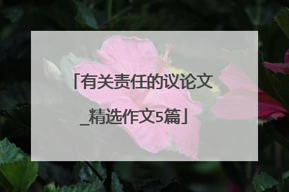 有关责任的议论文_精选作文5篇