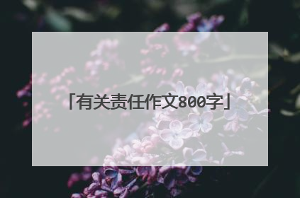 有关责任作文800字