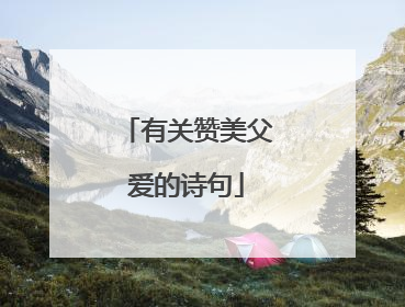 有关赞美父爱的诗句