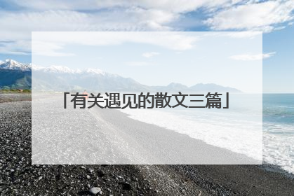有关遇见的散文三篇