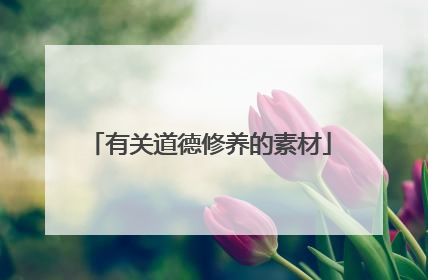 有关道德修养的素材