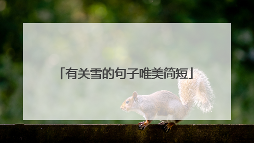 有关雪的句子唯美简短