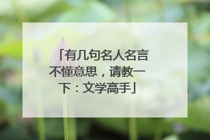 有几句名人名言不懂意思,请教一下:文学高手