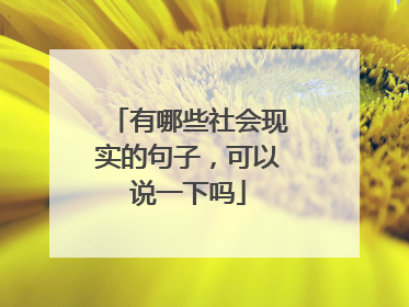 有哪些社会现实的句子,可以说一下吗