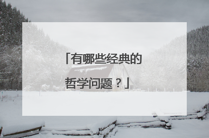 有哪些经典的哲学问题?