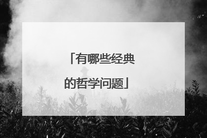 有哪些经典的哲学问题