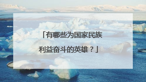 有哪些为国家民族利益奋斗的英雄?