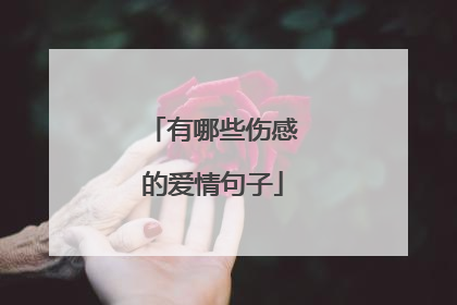 有哪些伤感的爱情句子