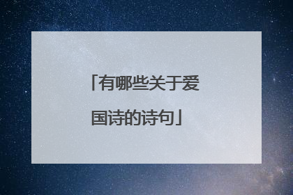 有哪些关于爱国诗的诗句