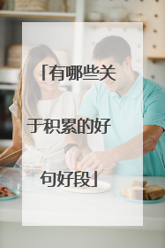 有哪些关于积累的好句好段