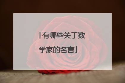 有哪些关于数学家的名言