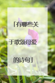 有哪些关于歌颂母爱的诗句
