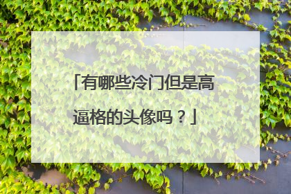 有哪些冷门但是高逼格的头像吗?