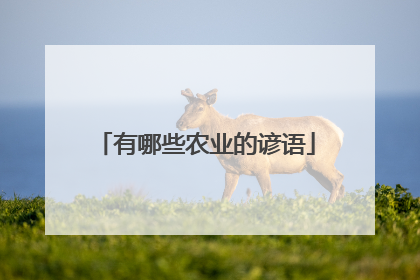 有哪些农业的谚语