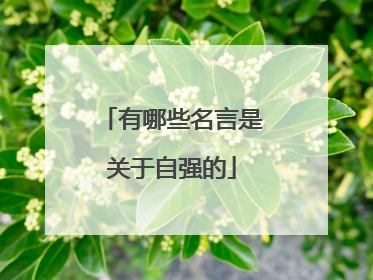 有哪些名言是关于自强的