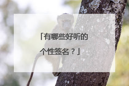 有哪些好听的个性签名?