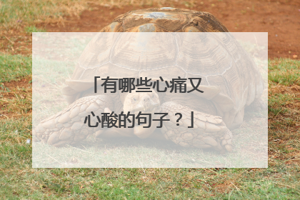 有哪些心痛又心酸的句子?