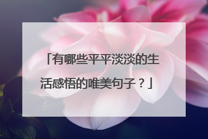 有哪些平平淡淡的生活感悟的唯美句子?
