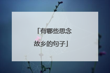 有哪些思念故乡的句子