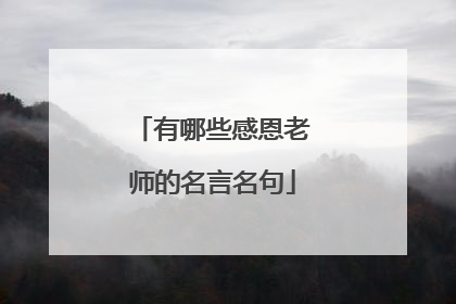 有哪些感恩老师的名言名句