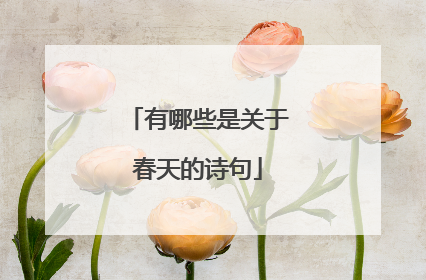有哪些是关于春天的诗句