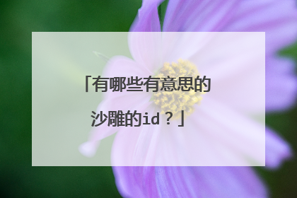 有哪些有意思的沙雕的id?